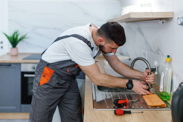 Best Local Plumber Services  in Nanticoke, PA